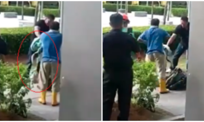 Horrifying Video Dog Catchers In Johor Violently Kick Dog Into Submission As People Watched On - World Of Buzz