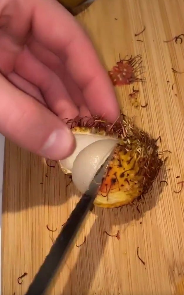 American Angered Asians After Peeling A Rambutan With A Peeler - WORLD OF BUZZ 2