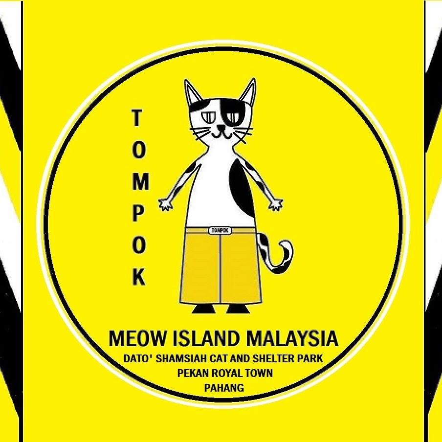 Calling All Cat Lovers! We Found Out That There Is A Meow Island In Pahang - WORLD OF BUZZ 10