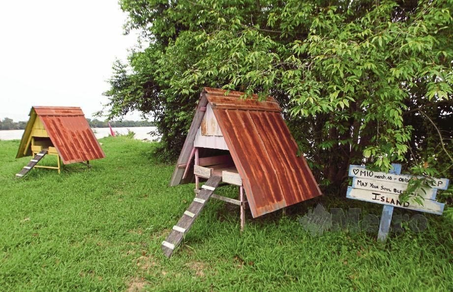 Calling All Cat Lovers! We Found Out That There Is A Meow Island In Pahang - WORLD OF BUZZ 15