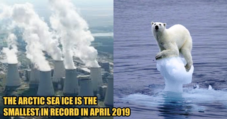 Climatologist: Fish & Seabirds are Dying, and 2019 Is The Warmest Year on Record - WORLD OF BUZZ 4
