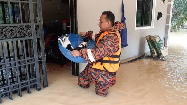 Heartwarming Photos Show Rescue Team Saving Helpless Pets During M'sian Flash Floods - WORLD OF BUZZ