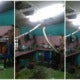 Huge Reticulated Python Was Extracted From A Ceiling In A Felda Home By Bomba - World Of Buzz 1