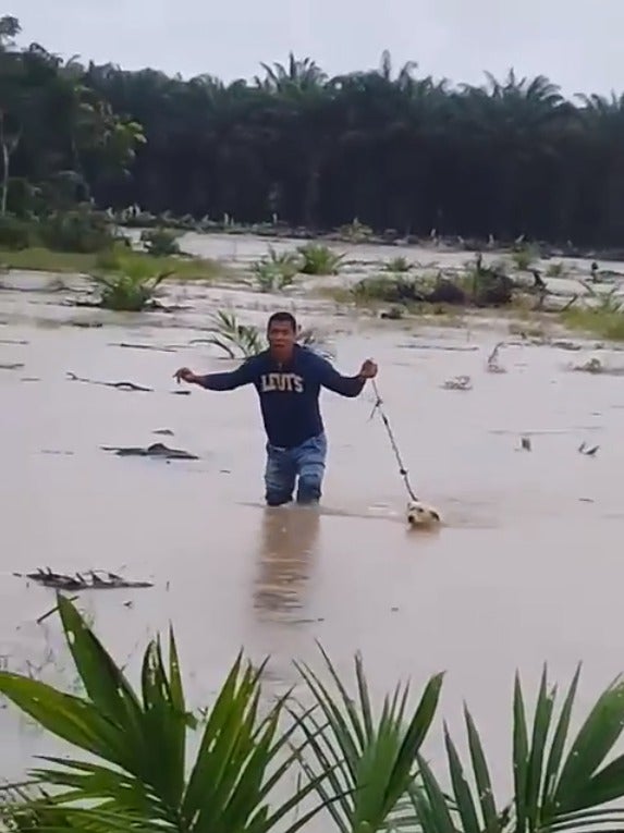 Kind M'sian Man Saves Poor Doggo Abandoned In Middle Of Flooded Field - World Of Buzz 1