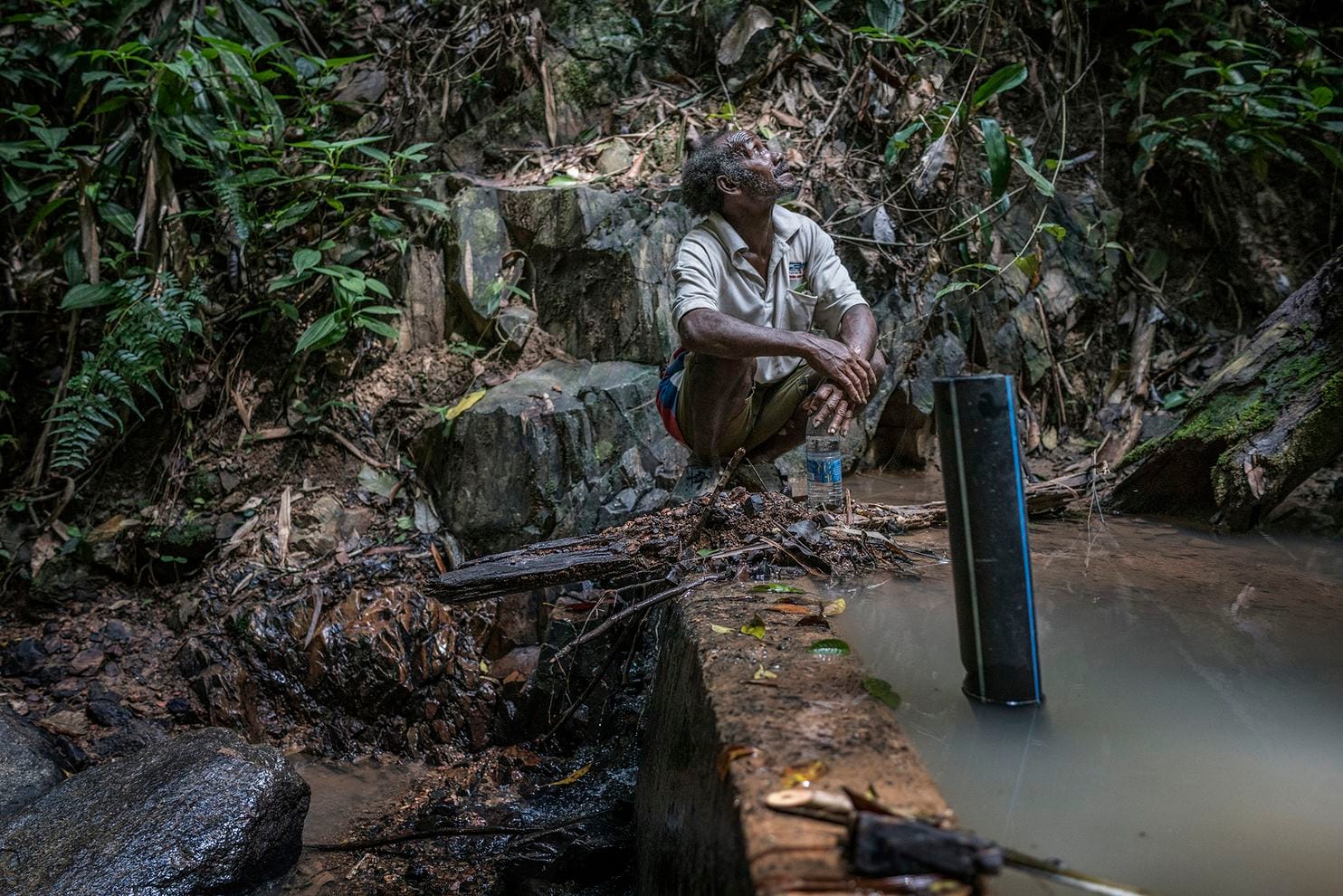 Life Of The Batek Under Threat Due To Toxic Runoff From Manganese Mines - WORLD OF BUZZ 2