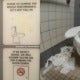 Malaysian Netizens Share Hilarious Public Toilet Hygiene Signs, We'Re Laughing With Our Nose Pinched - World Of Buzz 1