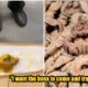Man Found Shit In Pig Intestines While Enjoying His Meal, Plans To Sue The Restaurant - World Of Buzz
