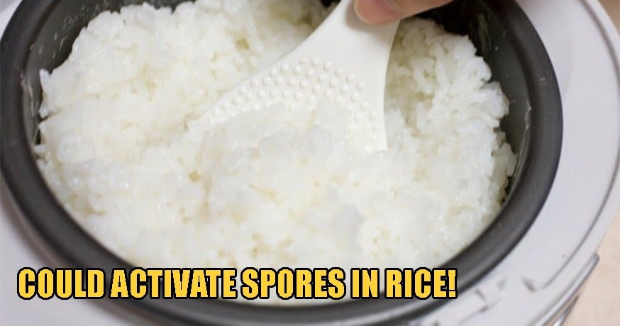 Moh: Rice Left At Room Temperature For 4 Hours Could Cause Food Poisoning If Reheated! - World Of Buzz