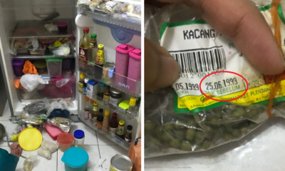 M'Sian Finds Green Beans From 1999 In Fridge, Reminds Us All To Clean Up Before 2020 - World Of Buzz 1