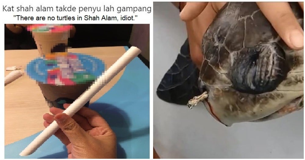 M'sian Protests Against Plastic Straws By Saying &Amp;Quot;There's No Turtles In Shah Alam&Amp;Quot; - World Of Buzz 5