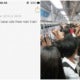 M'Sian Woman Was Sexually Harassed In Lrt, Woman Steps In &Amp; Helps Her Escape - World Of Buzz 1