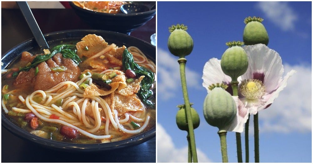 Noodle Shop Owner Arrested For Putting In Opium In His Noodles To Attract More Customers - WORLD OF BUZZ 1