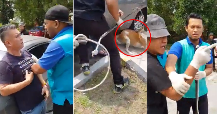 Seremban Dogcatchers Caught Hitting and Kicking a Stray Dog That Was Already Pinned Down - WORLD OF BUZZ 4