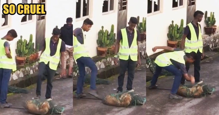 Seremban Dogcatchers Caught Hitting And Kicking A Stray Dog That Was Already Pinned Down - World Of Buzz