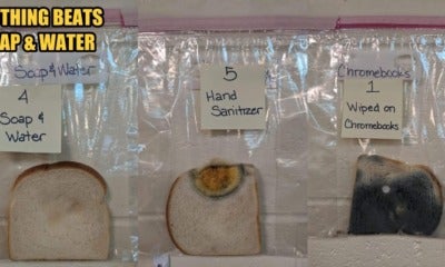 Teacher Showed How Washing Hands With Soap Is Way More Effective Than Hand Sanitisers - World Of Buzz 3