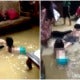 Video: Lively Kids In Kelantan Swim In Their Flooded Home Liven Up Their Situation - World Of Buzz
