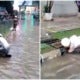 Watch: Dedicated Kl Police Unclogs Drain Using His Own Hand During Flash Flood - World Of Buzz