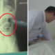 13Yo Boy Didn'T Chew Bubble Tea Pearls Properly, Ends Up With Blockage In Intestines - World Of Buzz