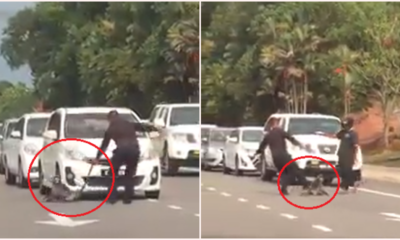 2 Men Moved An Injured Monkey Off Road In Melaka By Kicking, Pulling &Amp; Dragging It By It'S Tail - World Of Buzz