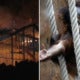Over 30 Animals Killed After Lantern From New Year'S Celebration Sets Zoo On Fire - World Of Buzz