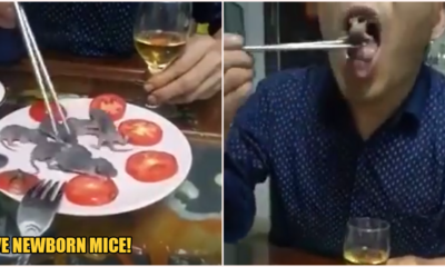 Man Casually Eats Live Newborn Mice While Sipping On Liquor Amid Wuhan Virus Crisis - World Of Buzz