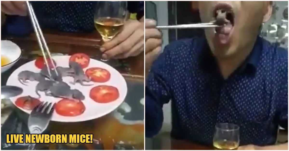 Man Casually Eats Live Newborn Mice While Sipping on Liquor Amid Wuhan Virus Crisis - WORLD OF BUZZ