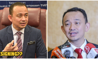 Minister Of Education, Dr Maszlee Bin Malik Has Allegedly Resigned From Cabinet - World Of Buzz