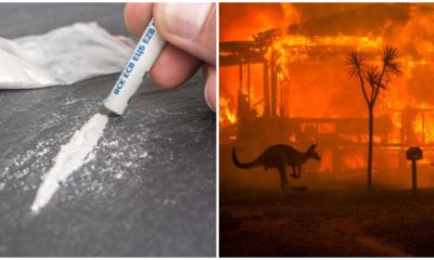 Drug Dealer Promotes Cocaine By Donating 10% From Each Purchase To Australian Bush Fire Victims - World Of Buzz