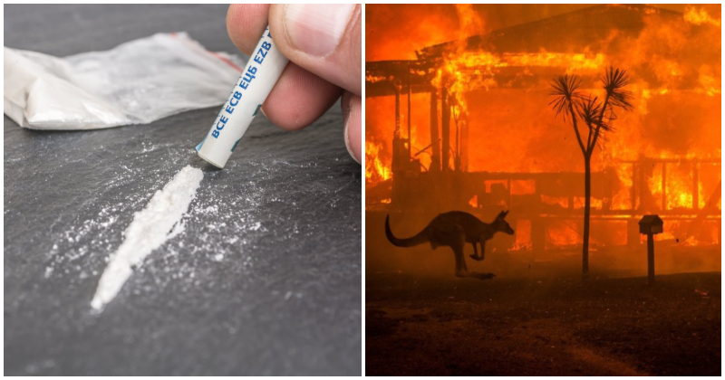 Drug Dealer Promotes Cocaine By Donating 10% From Each Purchase To Australian Bush Fire Victims - WORLD OF BUZZ