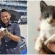 Adorable Kitty Took A Nap In Pdrm Officer'S Car Engine, Now Left In The Hands Of The Law - World Of Buzz 3
