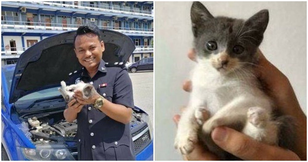 Adorable Kitty Took A Nap In Pdrm Officer'S Car Engine, Now Left In The Hands Of The Law - World Of Buzz 3