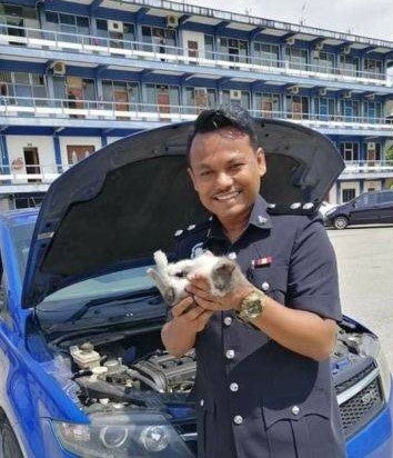 Adorable Kitty Took A Nap In PDRM Officer's Car Engine, Now Left In The Hands Of The Law - WORLD OF BUZZ
