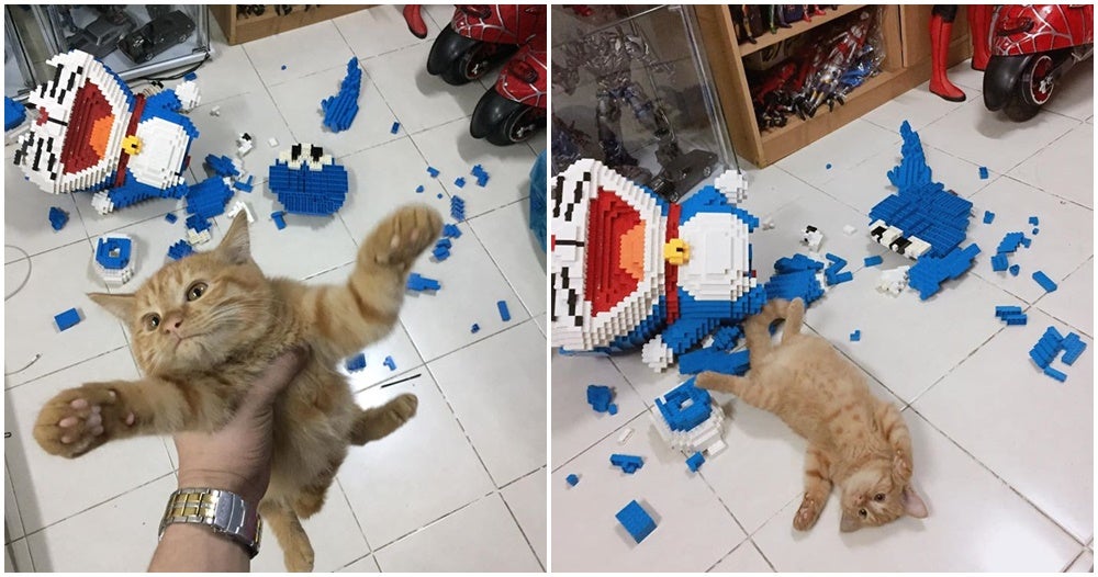 cheeky kitty destroys 2432 piece doraemon after its owner spent an entire week assembling it world of buzz 5