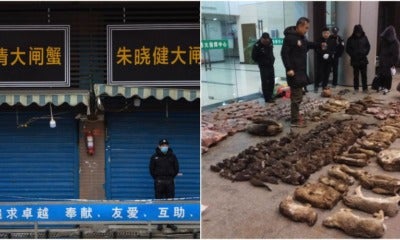China Announces Ban On Wildlife Trading Across The Nation Until Epidemic Is Fully Cured - World Of Buzz