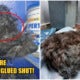 Cruel Owner Super Glues Puppy'S Eyes &Amp; Abandons It So It Can'T Follow Them Home - World Of Buzz