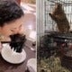 Experts: 1.7 Million Viruses Undetected In Wildlife &Amp; Half Of Them Can Infect Humans - World Of Buzz 4