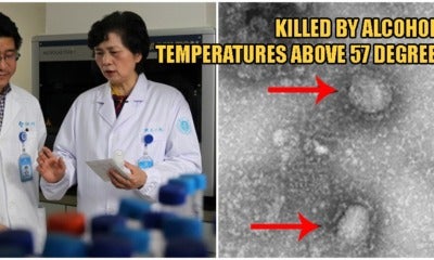 Experts Say Deadly Wuhan Virus Can Be Killed By Alcohol &Amp; High Temperatures! - World Of Buzz 3