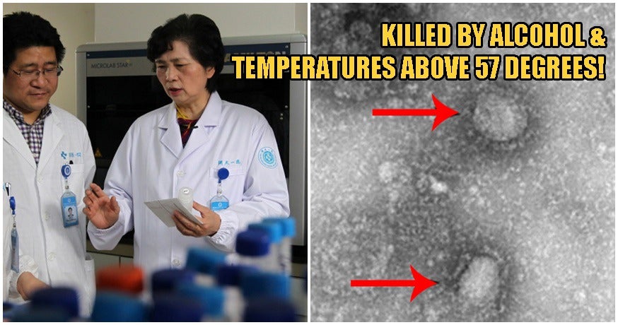 Experts Say Deadly Wuhan Virus Can Be Killed By Alcohol & High Temperatures! - WORLD OF BUZZ 3