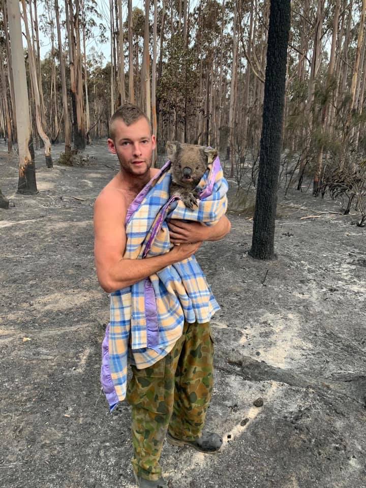 Heartbreaking Photos Show Injured Animals in Australia Running Away to Save Themselves From Massive Bushfires - WORLD OF BUZZ 11