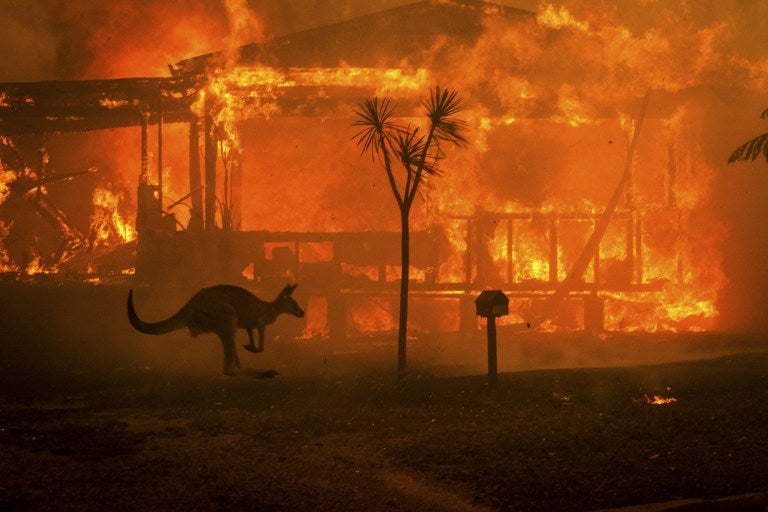 Here's How You Can Help The People & Animals That Are Suffering From The Australian Wildfires - WORLD OF BUZZ