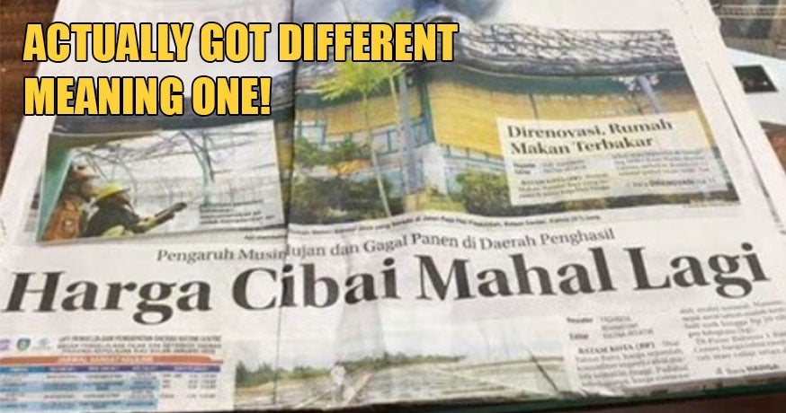 Indo Newspaper Says Prices Of Cibai Are Going Up &Amp; They Kinda Weren'T Joking - World Of Buzz