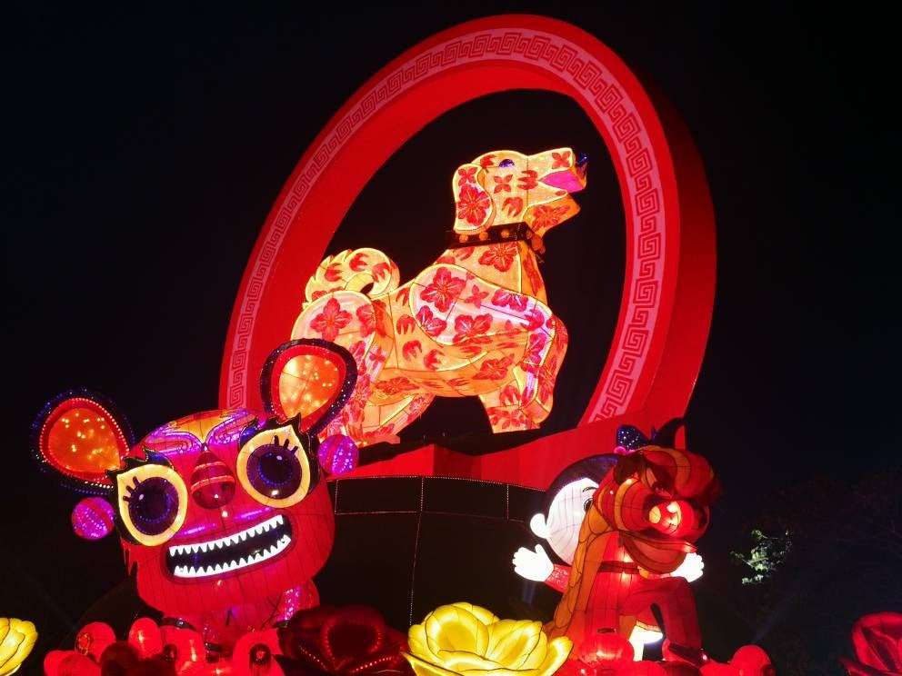 jenjarom lights lit weih CNY Lantern & Floral Festival - WORLD OF BUZZ 10