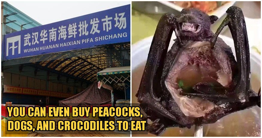 Market Where Wuhan Virus Originated Sold Rats, Wolf Puppies, Koalas & Even Snakes As Meat - WORLD OF BUZZ 4