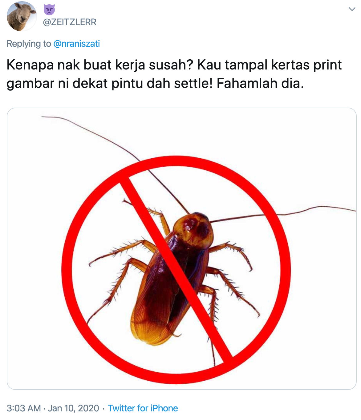 M'sian Girl Lines Up Mothballs to Prevent Cockroaches From Entering Her Room, Netizens Are Entertained - WORLD OF BUZZ 3