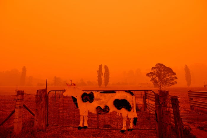NASA: Smoke From Australia's Bushfires Will Make At Least "One Full Circuit" Around the World - WORLD OF BUZZ