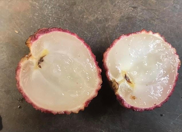 Seedless Lychee Is Now Available And We Can’t Wait To Taste Some - WORLD OF BUZZ 2