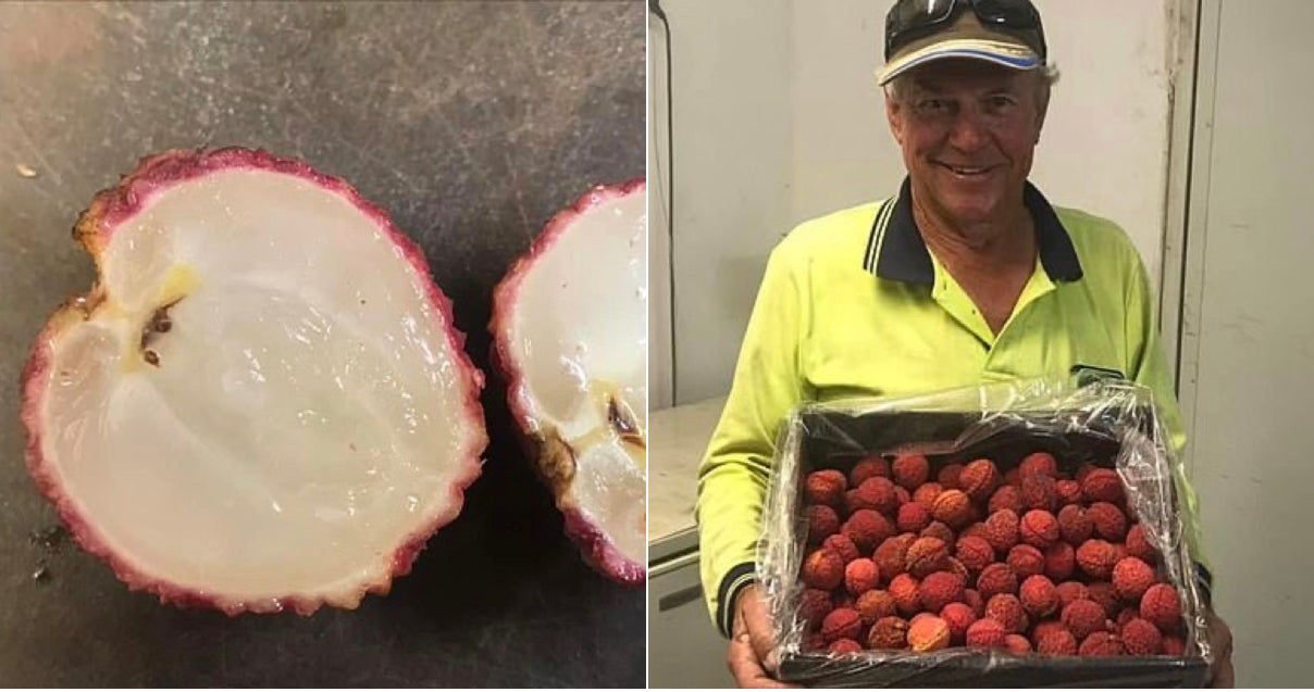 Seedless Lychee Is Now Available And We Can’t Wait To Taste Some - World Of Buzz 4