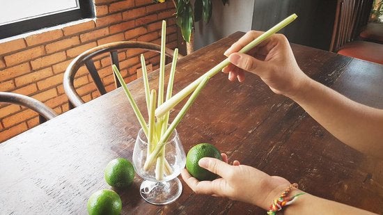 Serai Straws Will Be Introduced In Kelantan To Help Reduce Plastic Wastage - WORLD OF BUZZ 2