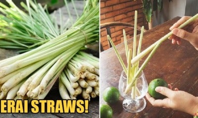 Serai Straws Will Be Introduced In Kelantan To Help Reduce Plastic Wastage - World Of Buzz 4