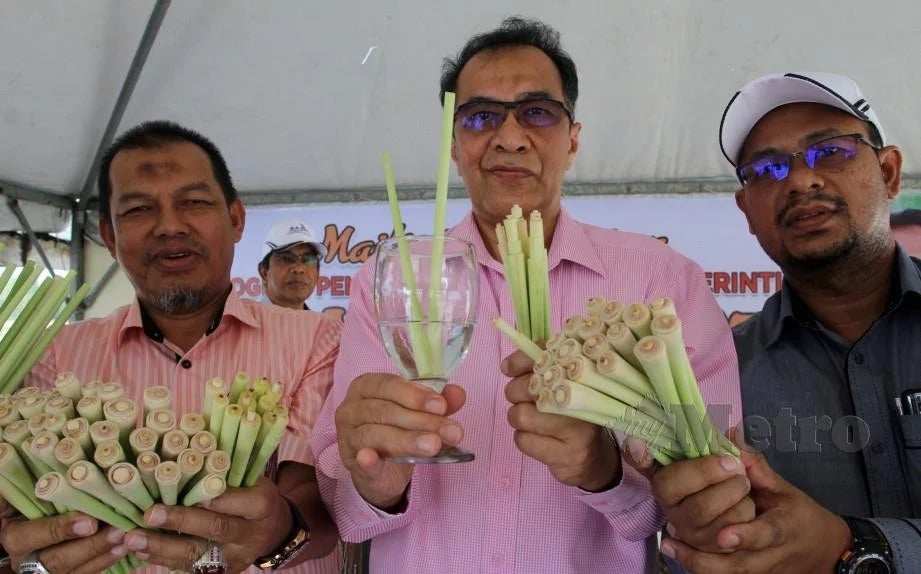 Serai Straws Will Be Introduced In Kelantan To Help Reduce Plastic Wastage - WORLD OF BUZZ